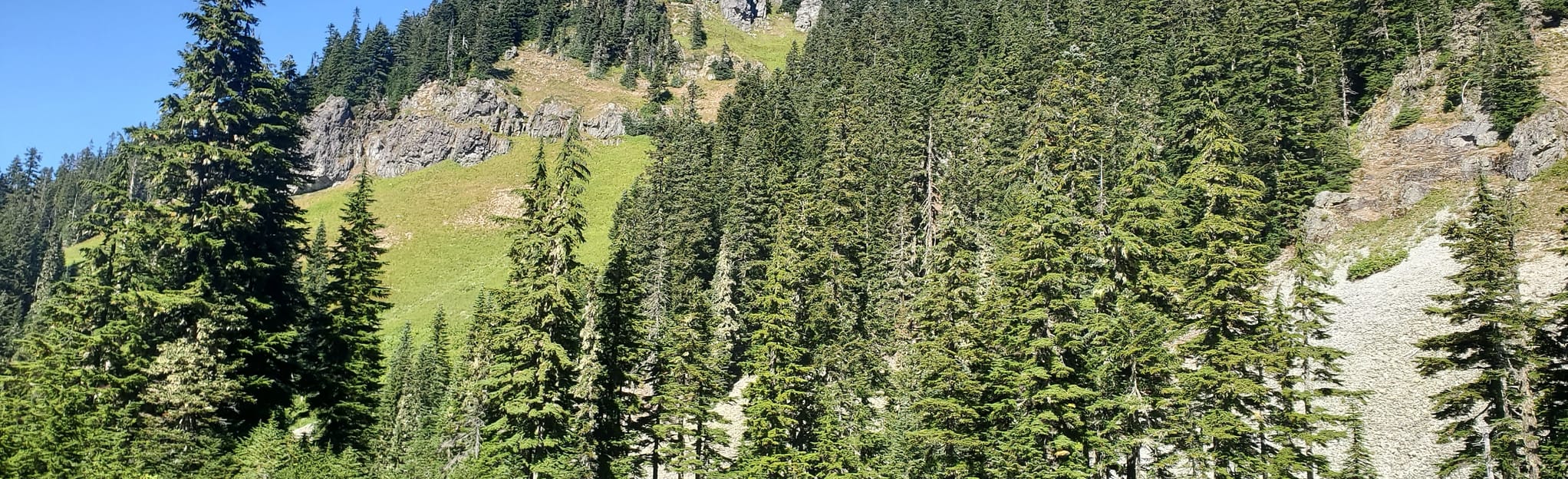 Lake Lillian Trail, Washington 331 Reviews, Map AllTrails