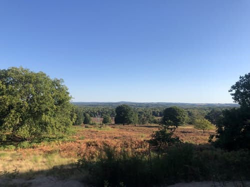 Telegraphenroute Wahner Heide ab Spich