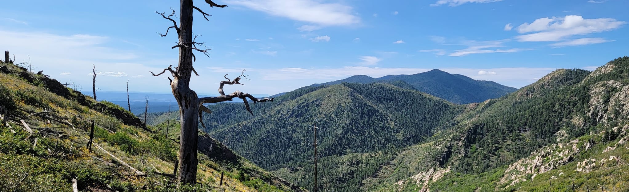 Capilla Peak: Your New Mexico Mountain Escape