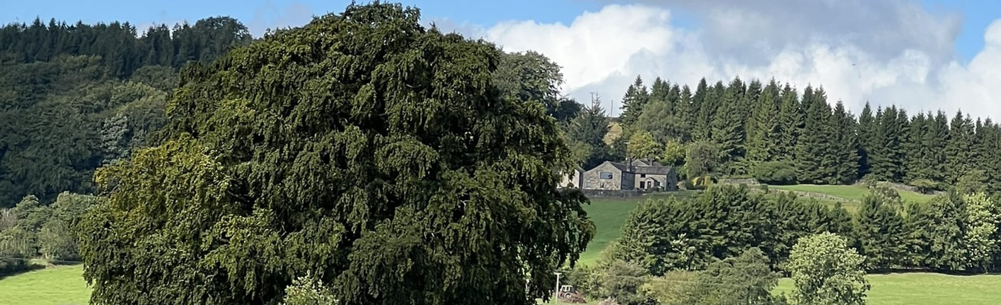 Barrowford Circular and Pendle Witches Trail 9 Reviews, Map