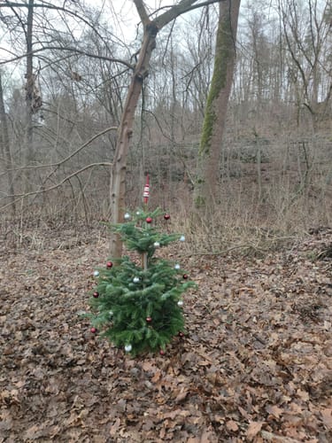 Zum Kunnerstein ab Erdmannsdorf