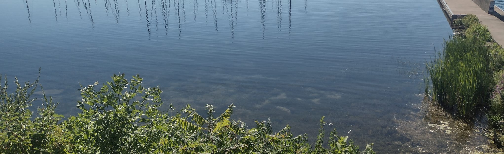 Washburn Lakefront Walking Trail - EyJidWNrZXQiOiJhc3NldHMuYWxsdHJhaWxzLmNvbSIsImtleSI6InVwbG9hZHMvcGhvdG8vaW1hZ2UvNTE0NjY0MzcvYjlkNjQ2MWVmYTI1MjBiOTZjMzg1YTg5MDM4YTIxYjMuanBnIiwiZWRpdHMiOnsidG9Gb3JtYXQiOiJqcGVnIiwicmVzaXplIjp7IndpZHRoIjoyMDQ0LCJoZWlnaHQiOjYyNCwiZml0IjoiY292ZXIifSwicm90YXRlIjpudWxsLCJqcGVnIjp7InRyZWxsaXNRdWFudGlzYXRpb24iOnRydWUsIm92ZXJzaG9vdERlcmluZ2luZyI6dHJ1ZSwib3B0aW1pc2VTY2FucyI6dHJ1ZSwicXVhbnRpc2F0aW9uVGFibGUiOjN9fX0=