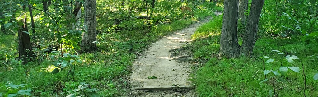 are dogs allowed at nature preserves in illinois