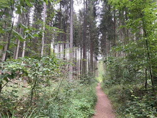Hartfüßler Trail 7.5km