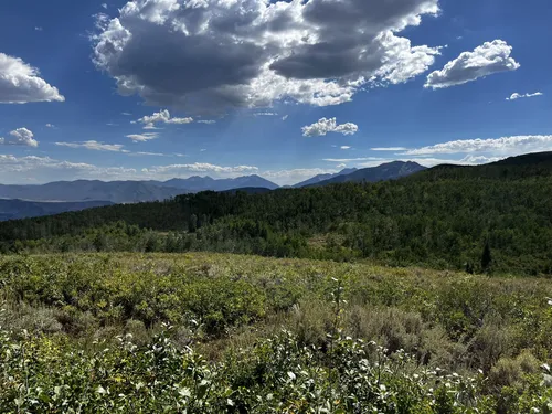 Wasatch mountain shop state park hiking