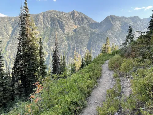 10 Best Hikes and Trails in Flathead National Forest | AllTrails