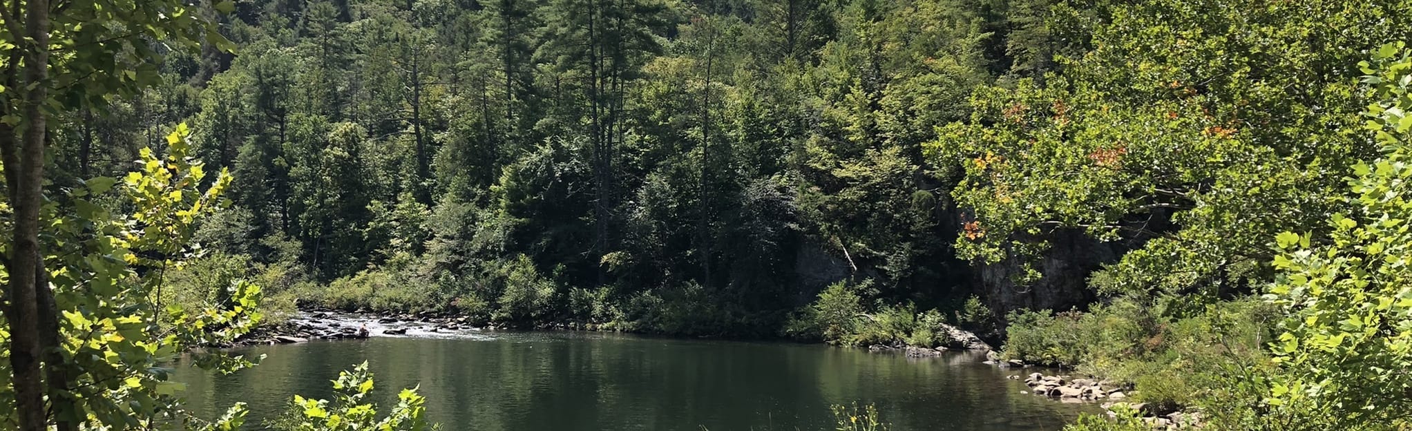 Crab Orchard Mountain Segment Devil’s Breakfast Table Section 39