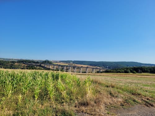 Durch die Bengener Heide