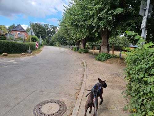 Wanderroute 10: Groß Wittensee - Kirchhorst