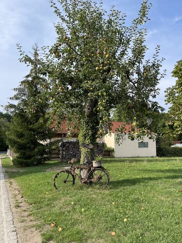 Rundweg Wassertrüdingen, Oettingen, Windischhausen