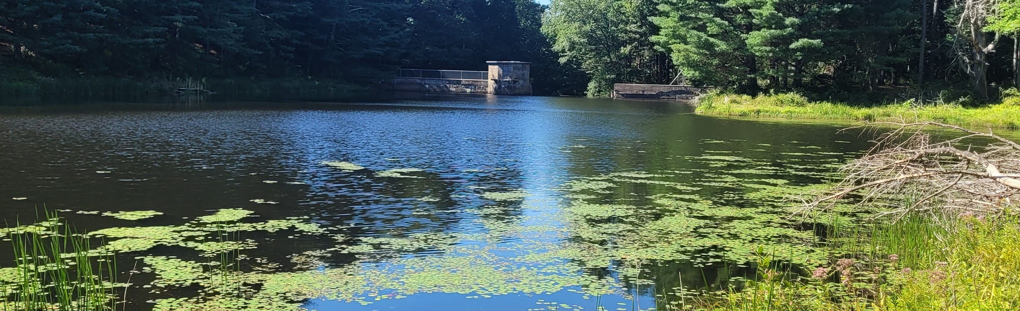 AllTrails Great Hill Reservoir 34 Reviews, Map Connecticut
