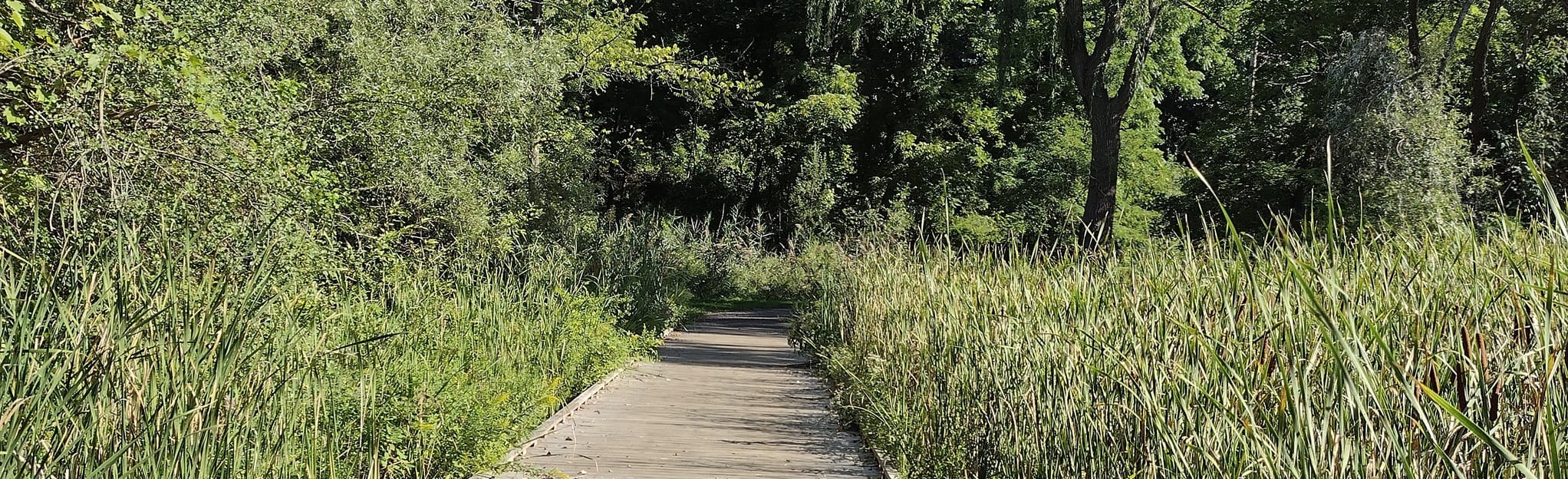 AllTrails Pittsford Frog Pond Trail 60 Reviews, Map New York