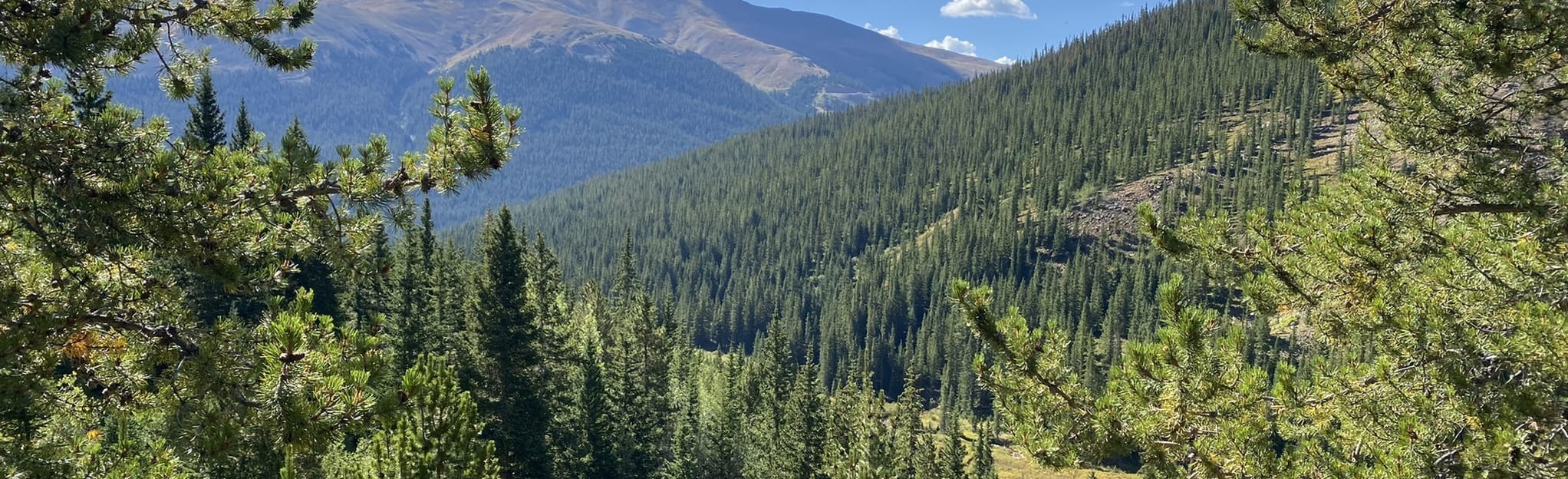 Mount Bethel Trail, Colorado 78 Reviews, Map AllTrails