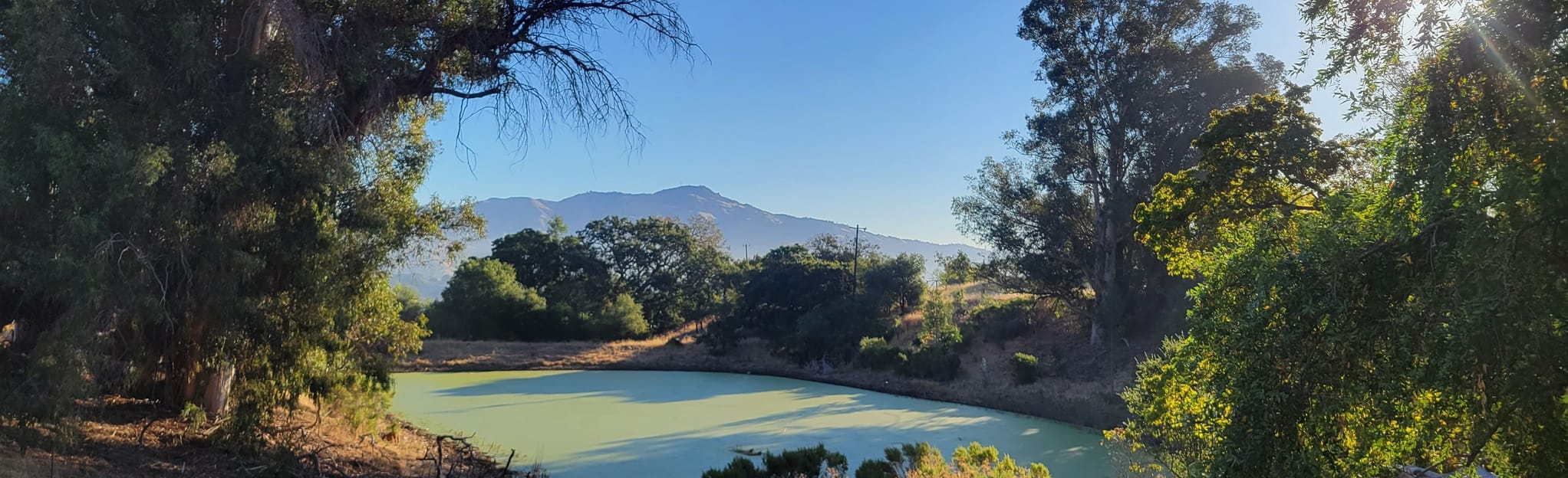 AllTrails | Del Amigo to Virgil Williams to Starview to Ringtail Cat