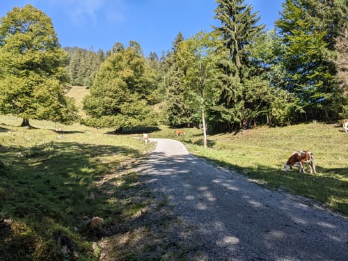 Auf den Wendelstein