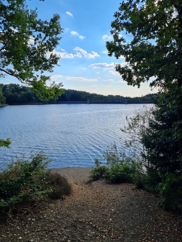 Neyetalsperre Rundweg