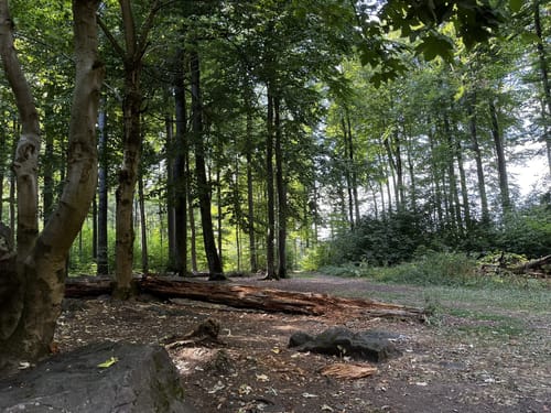 Wanderweg E14: Wilhelmsteine