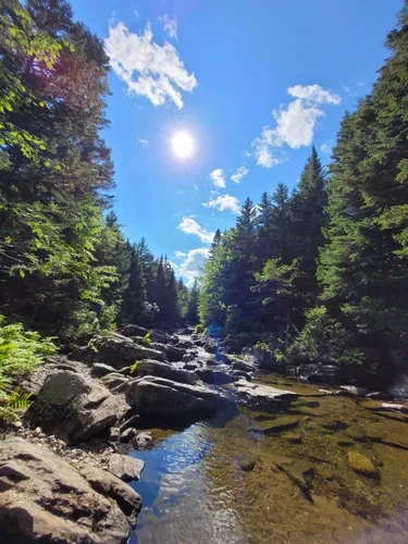 10 Best Hikes and Trails in Fundy National Park