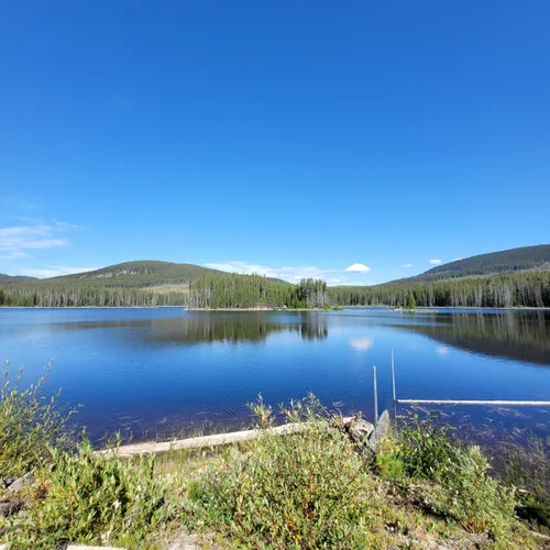 10 Best Trails and Hikes in Chute Lake | AllTrails