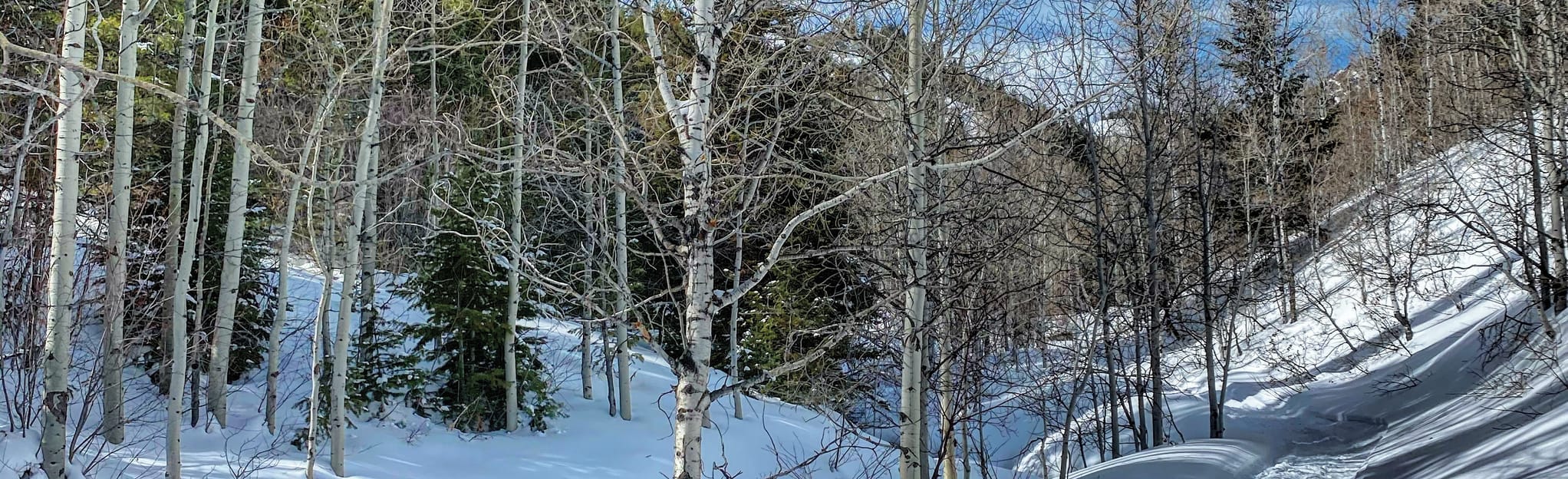 Malad Summit 11 Reviews, Map Idaho AllTrails