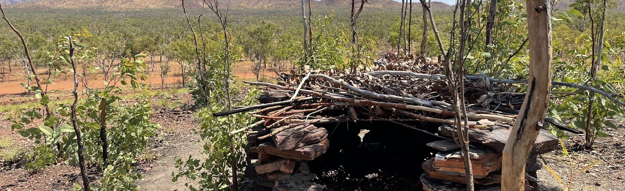 Ginger's Hill, Northern Territory, Australia 2 Reviews, Map AllTrails