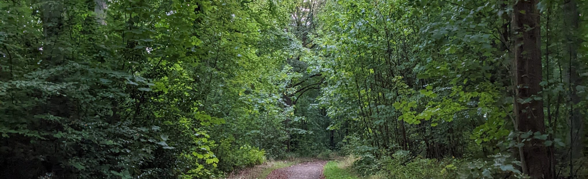 Dalkeith Country Park and River Esk Circular 45 foto's Midlothian