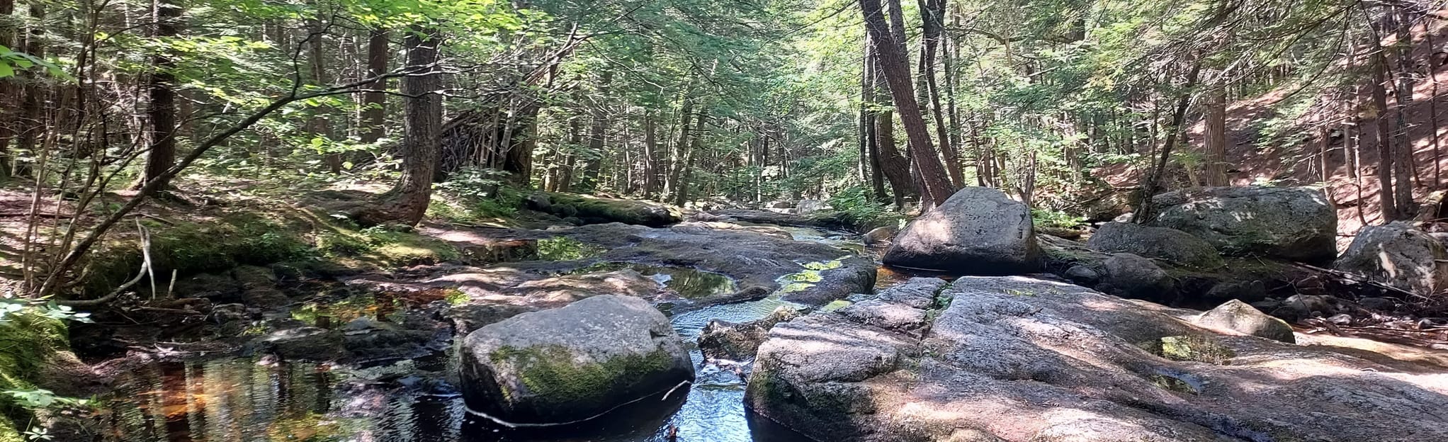 Madison Cascade Map, Guide New Hampshire AllTrails