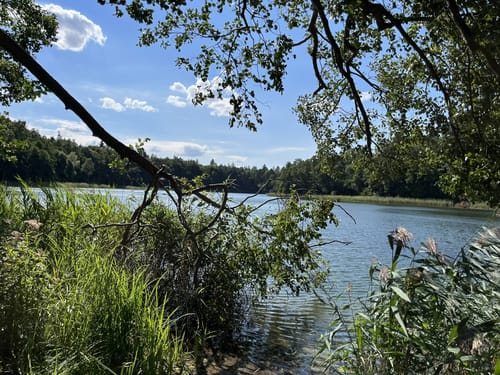Rund um den Großdöllner See