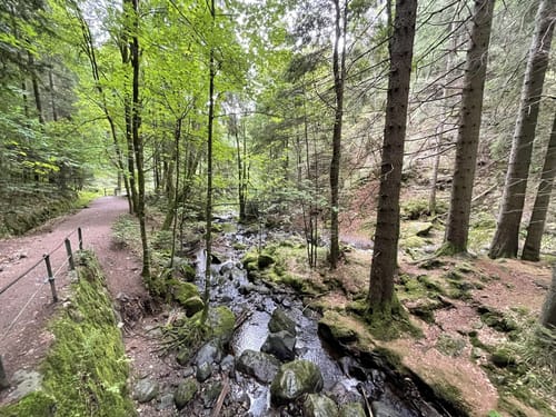 Der Ravennaschlucht Weg