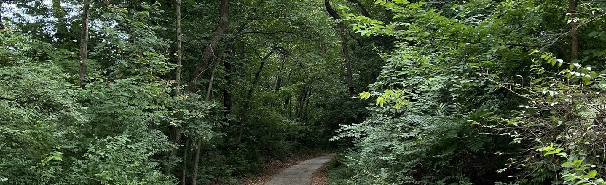 Harry Wiggins Trolley Track Trail Missouri AllTrails