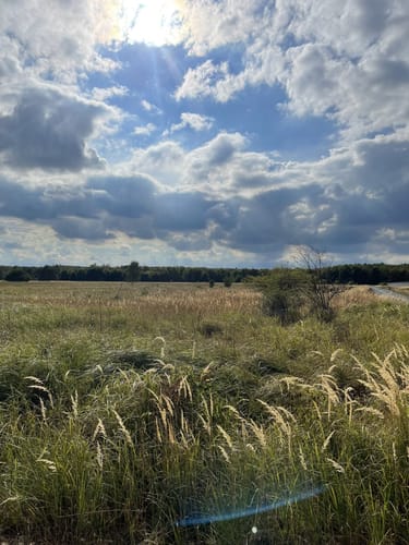 Naturschutzgebiet Mönchbruch ab Jagdschloss