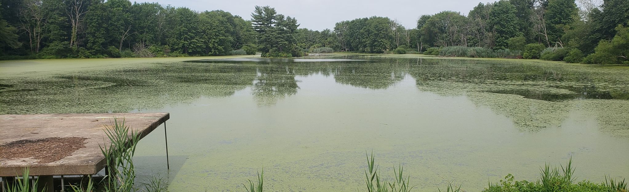 Baldwin Lake via Pennington Loop Nature Trail, New Jersey - 83 Reviews ...