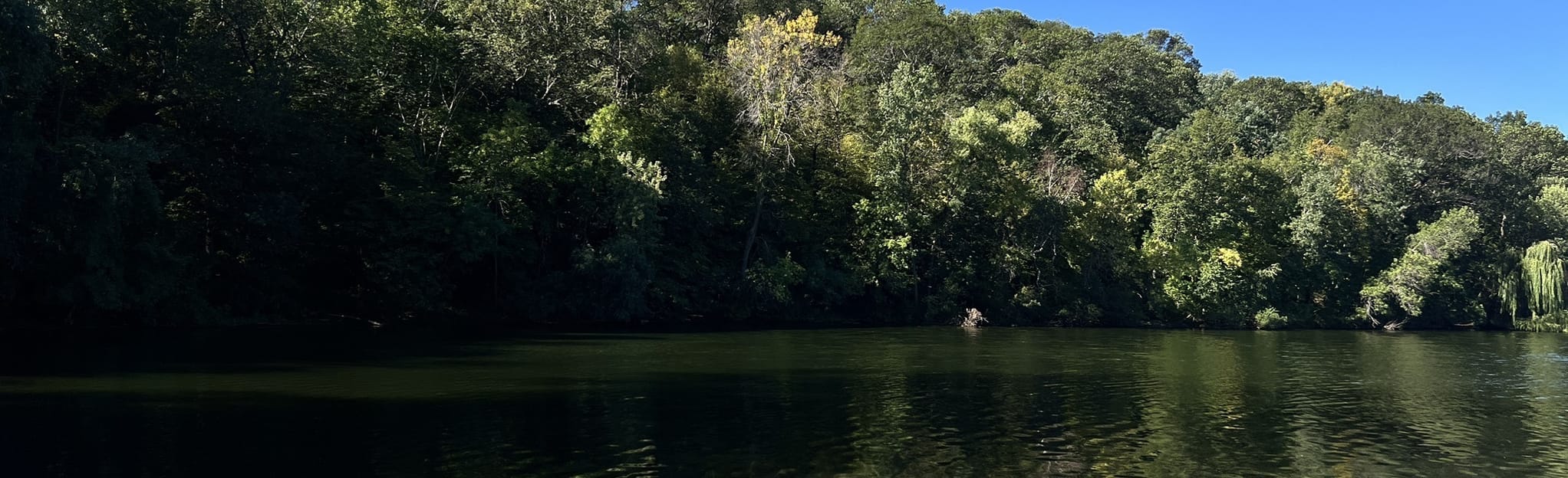 Carver Lake Boardwalk Loop, Minnesota 51 Reviews, Map AllTrails