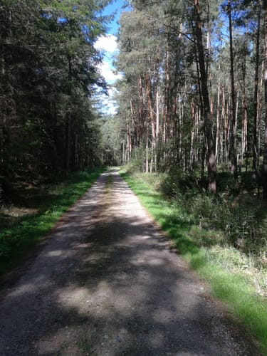 Rundtour Dargun