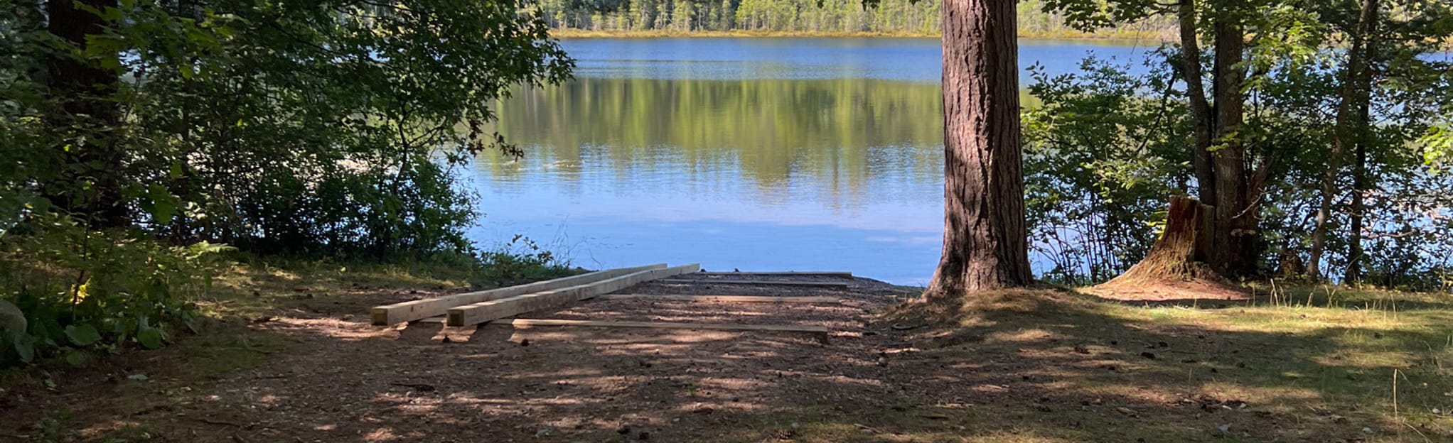 Hawk Lake Loop, Wisconsin 17 Reviews, Map AllTrails