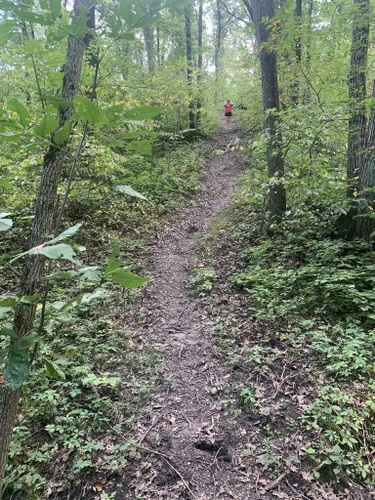 Best Hikes and Trails in Nations Bridge County Park | AllTrails