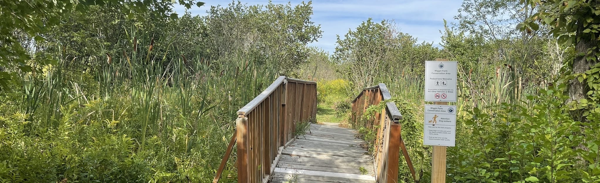 Wiggins Farm Loop, New Hampshire 49 Reviews, Map AllTrails