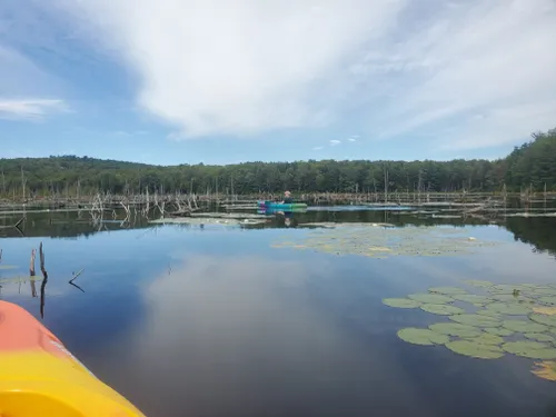 Best Hikes And Trails In Gale Meadows Wildlife Management Area | AllTrails