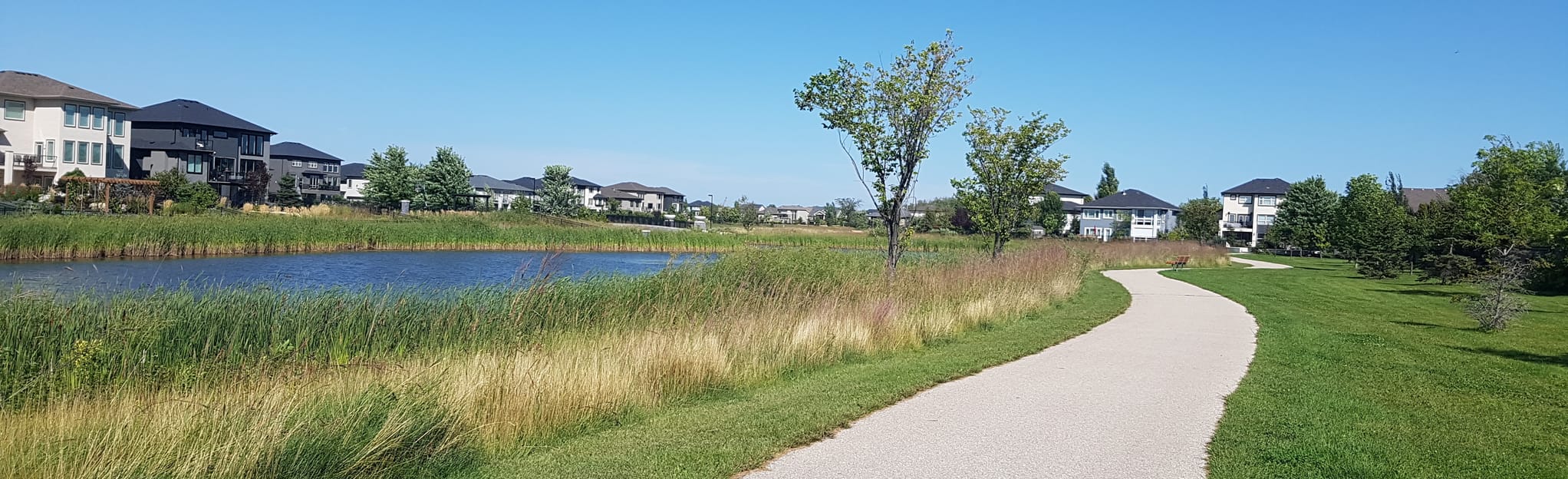 Bridgwater Forest Loop 70 Reviews, Map Manitoba, Canada AllTrails