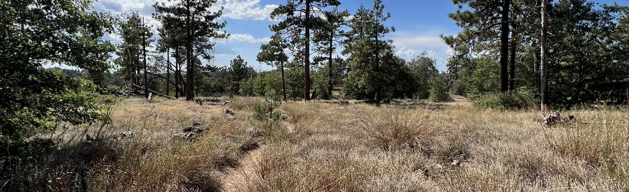 Big Laguna Trailhead to Burnt Rancheria Campground  Map, Guide 