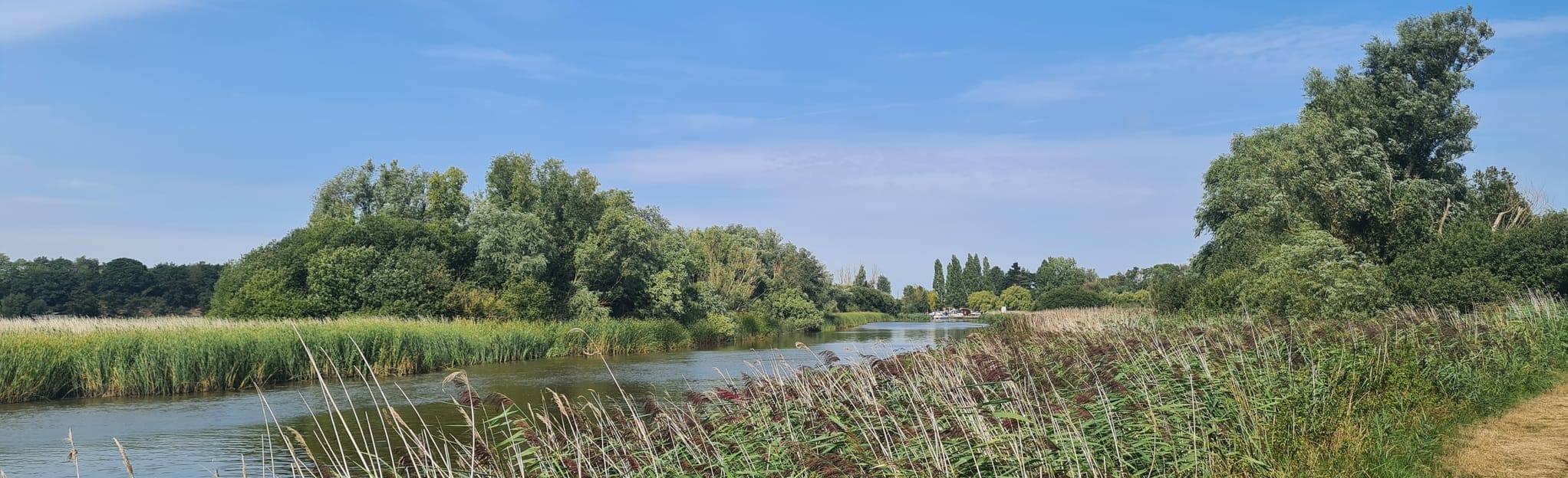 Waveney River Centre, Carlton Marshes and Oulton Broad Walk 89 foto's