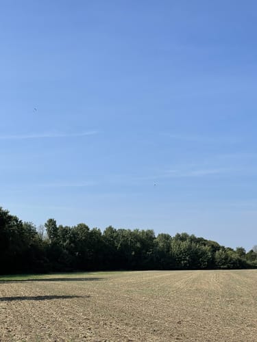 Burg in Marl