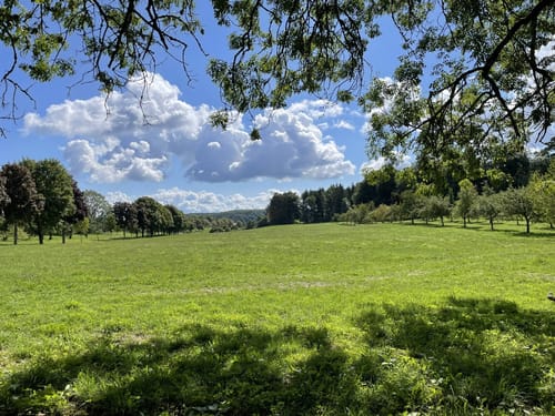Finstertal Rundweg