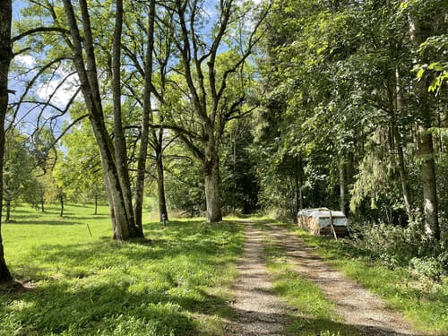 Finstertal Rundweg