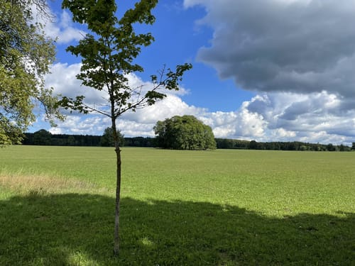 Finstertal Rundweg