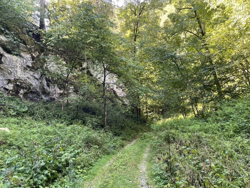 Finstertal Rundweg