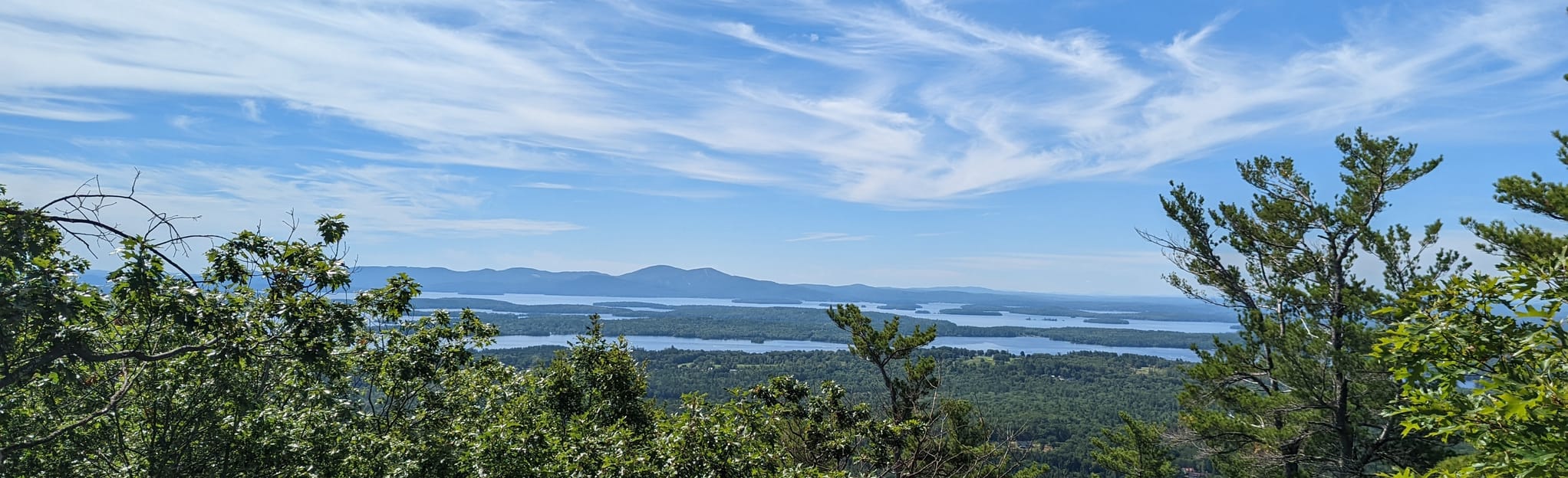 Black Snout Trail via Bald Knob Trail, New Hampshire 19 Reviews, Map