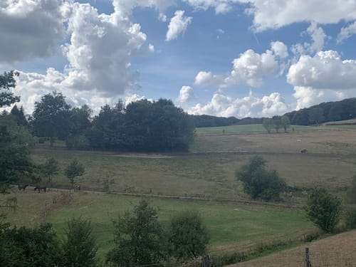Runde bei Hülsenbusch
