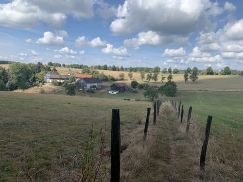 Runde bei Hülsenbusch
