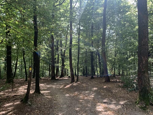 Runde bei Hülsenbusch